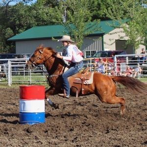 Meet your Posher, Allie